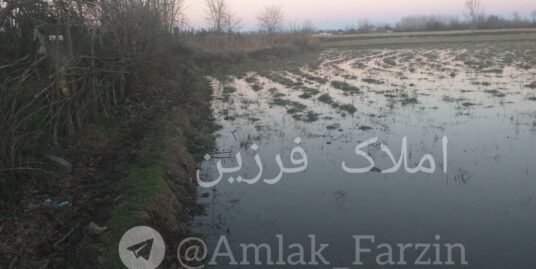 فروش زمین مسکونی و شالیزار در آستانه اشرفیه