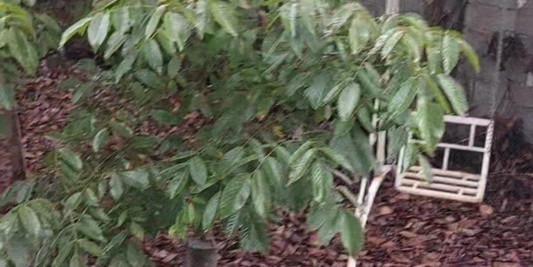 IMG_20250911_202111_725