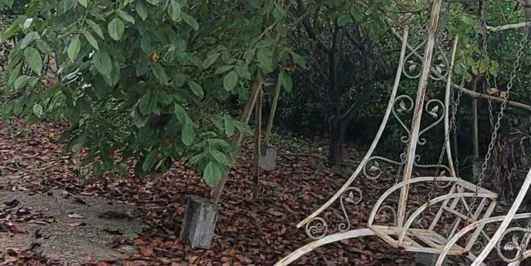 IMG_20250911_202112_310